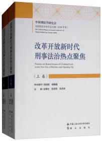 改革开放新时代刑事法治热点聚焦（套装上下卷）