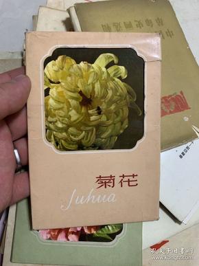 1964年；菊花明信片，全10张