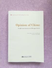 Opinion of China Insight International Hotspot Issues-中国声音-国际热点问题透视