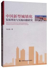 中国新型城镇化发展理论与实践问题研究