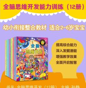 智力大挑战幼儿专注力培养（套装共12册） [3-6岁]