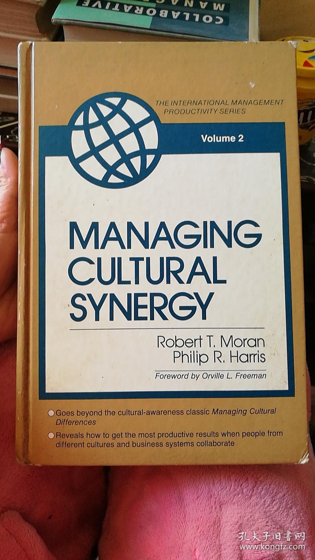 Managing cultural synergy