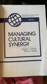 Managing cultural synergy