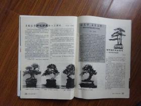 中国花卉盆景（2001年1期）