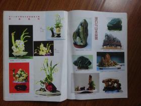 中国花卉盆景（2001年1期）