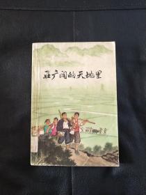 在广阔的天地里