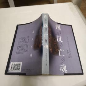 中国文化史探秘丛书(第二辑)-西汉亡魂