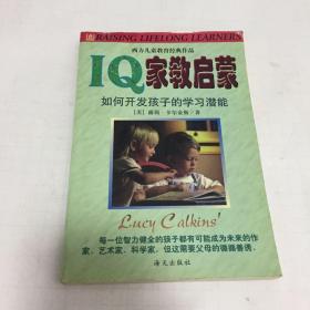 IQ家教启蒙：如何开发孩子的学习潜能