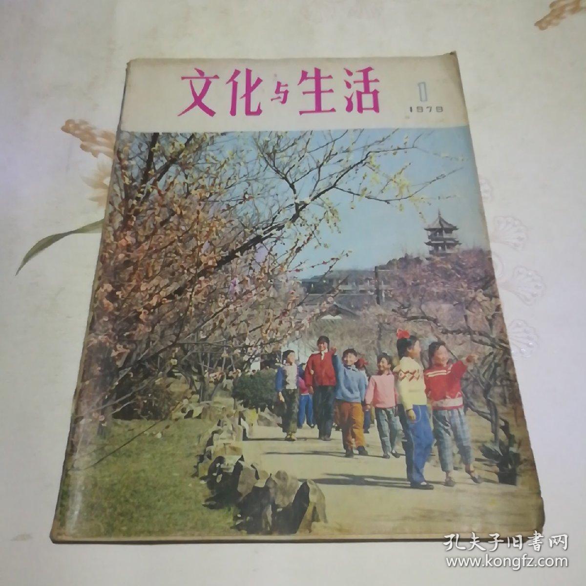 文化与生活  1979.1
