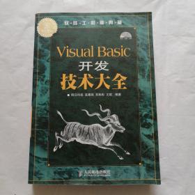 Visual Basic开发技术大全