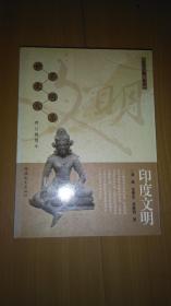 印度文明（修订插图本）
