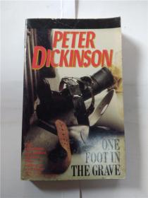 英文原版书籍:peter dickinson one foot in the grave
