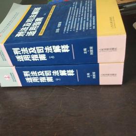 刑法及司法解释适用指南（上下册）