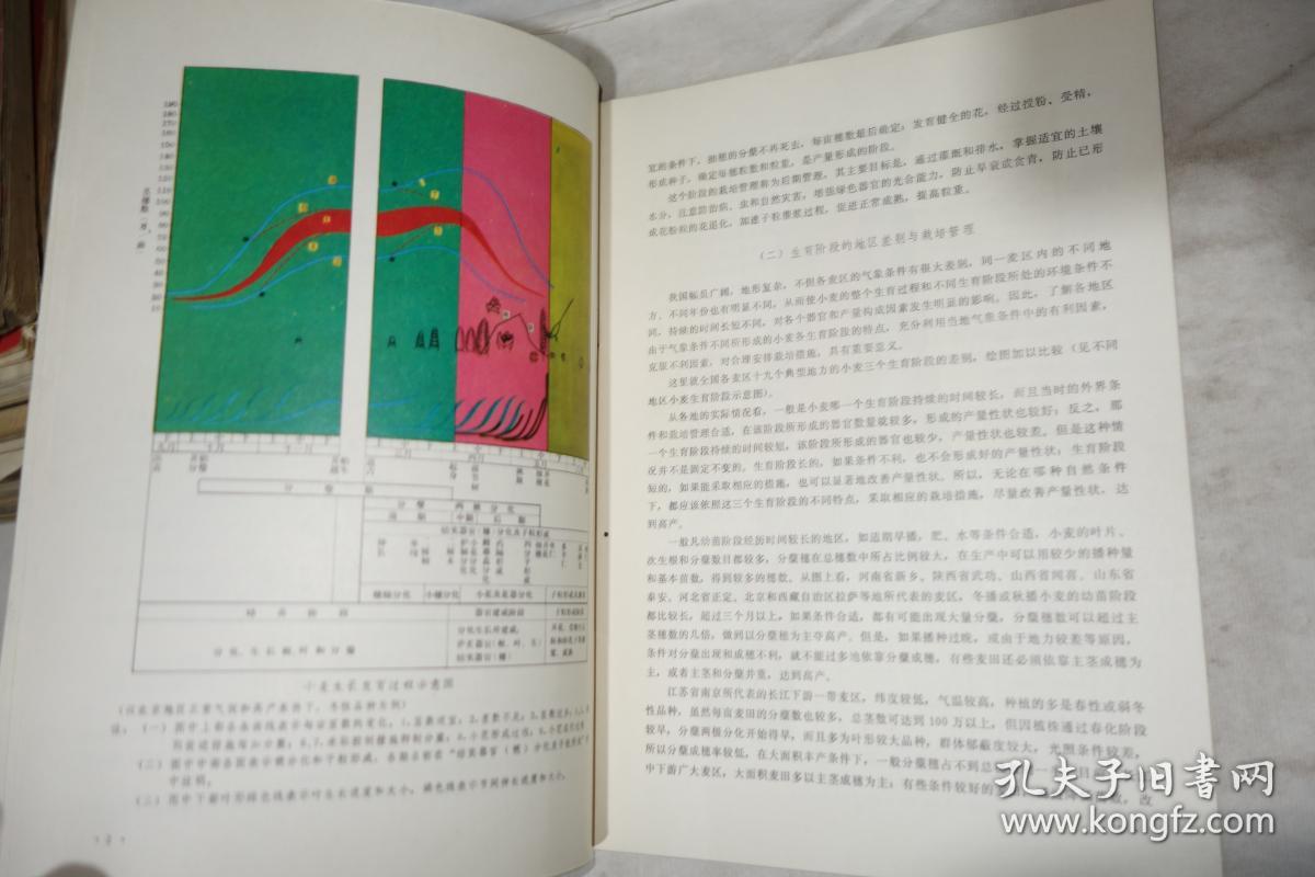 1979年一版一印，《小麦因苗管理图册》