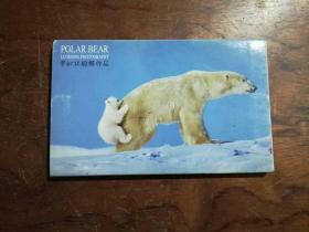 B2 明信片-罗红北极熊作品（一函12枚，