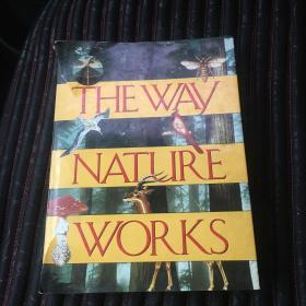 THEWAYNATUREWORKS