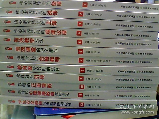 《核心素养时代的合格教师》丛书：全12册