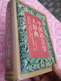 中国语言学大辞典