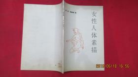 女性人体素描