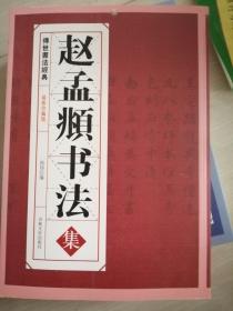 传世书法经典:赵孟頫书法集（大16开大厚书） 迄今为止收录版本最多的赵孟頫书法集繁体版