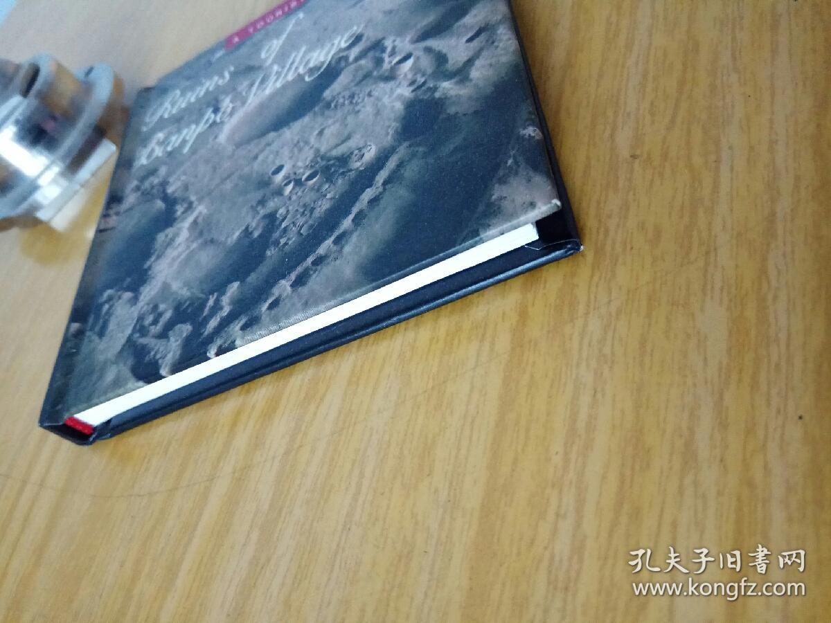 Ruins of Banpo ViIIage（陕安半坡遗址)英文版
