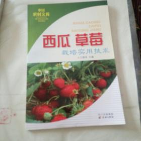 西瓜 草莓栽培实用技术
