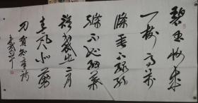 书法家戴军老师书法作品（画片带一本简介2）尺寸137公分×69公分
