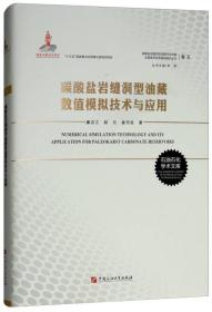 碳酸盐岩缝洞型油藏数值模拟技术与应用（卷五）/碳酸盐岩缝洞型油藏开采机理及提高采收率基础研究丛书