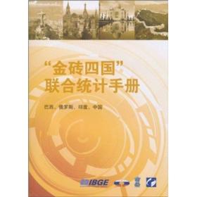 “金砖四国”联合统计手册：巴西、俄罗斯、印度、中国