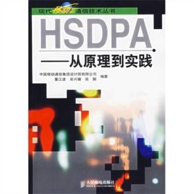 HSDPA：从原理到实践