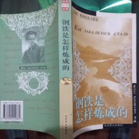 钢铁是怎样炼成的