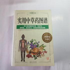 实用中草药图谱