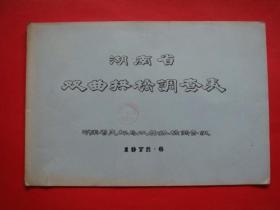 湖南省双曲拱桥调查表