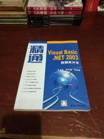 精通Visual Basic.NET 2003数据库开发