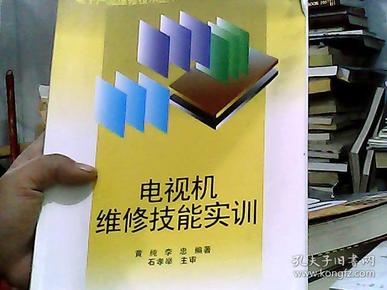 电视机维修技能实训——电子产品维修技术丛书