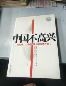 中国不高兴：大时代大目标及我们的内忧外患