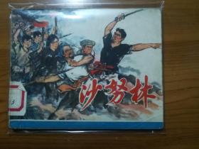 上海版连环画《沙努林》