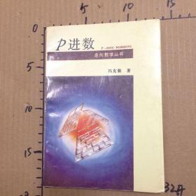 P进数  走向数学丛书