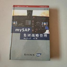 mySAP集团战略管理