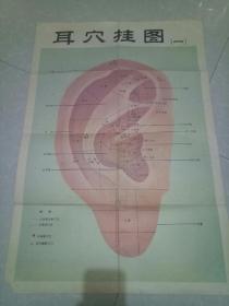 耳穴挂图（一）