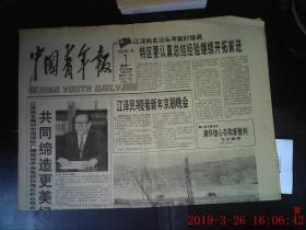 中国青年报 1996.1.1