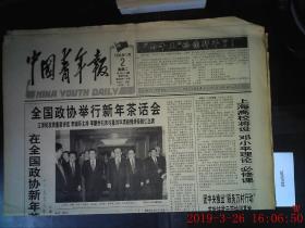 中国青年报 1996.1.2