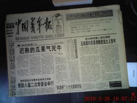 中国青年报 1996.1.5