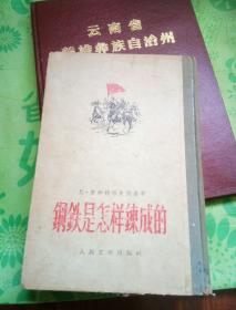 钢铁是怎样炼成的。32开本501页码。一号箱。