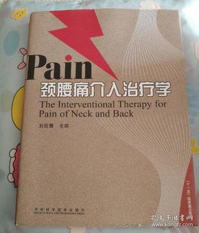 Pain颈腰痛介入治疗学
