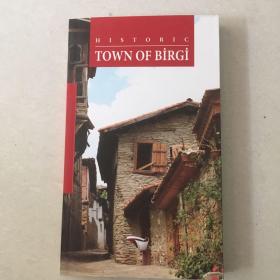HISTORIC TOWN OF BIRGI