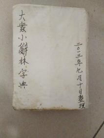大众小辞林字典