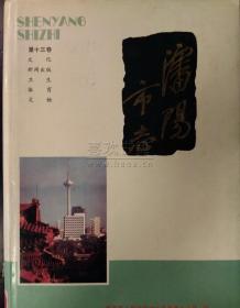 沈阳市志 13 文化新闻出版 卫生体育文物 沈阳出版社  1990版 正版