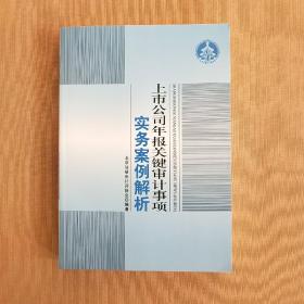 上市公司年报关键审计事项实务案例解析