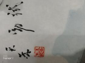王天禾，又名王天和，字梦禹，濡石斋主人。1956年生于北京。
油画师从鲁若增、李天祥、赵友萍。
国画师从邓锡良、吴悦石、何海霞、陆俨少、梁树年、龙瑞。
书法篆刻师从大康、沈鹏等。
2005年进入国家画院龙瑞工作室，助教范扬。
中国美术家协会会员。中国收藏家协会会员
北京书法家协会会员
中央文史馆书画院研究员
敦煌美术馆名誉馆长
中国禅佛书画院副院长
现任北京墨彩画院院长
中国风水画研究